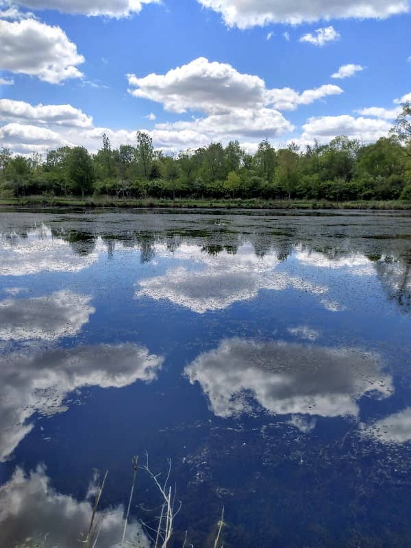 Jaycee Pond - Image 1