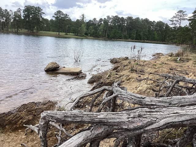 J. Strom Thurmond Reservoir - Image 3