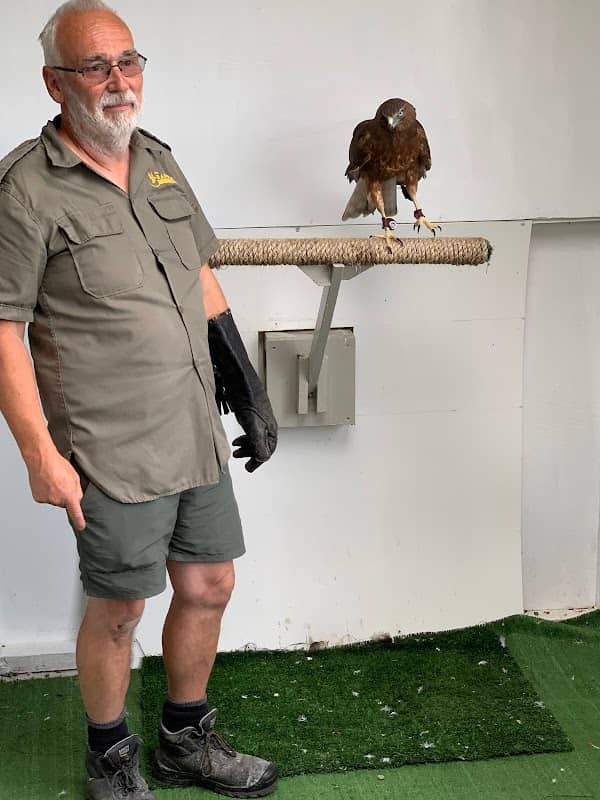 The Raptor Experience - Image 1