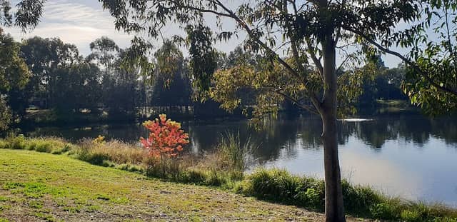 Birriwa Reserve - Image 1