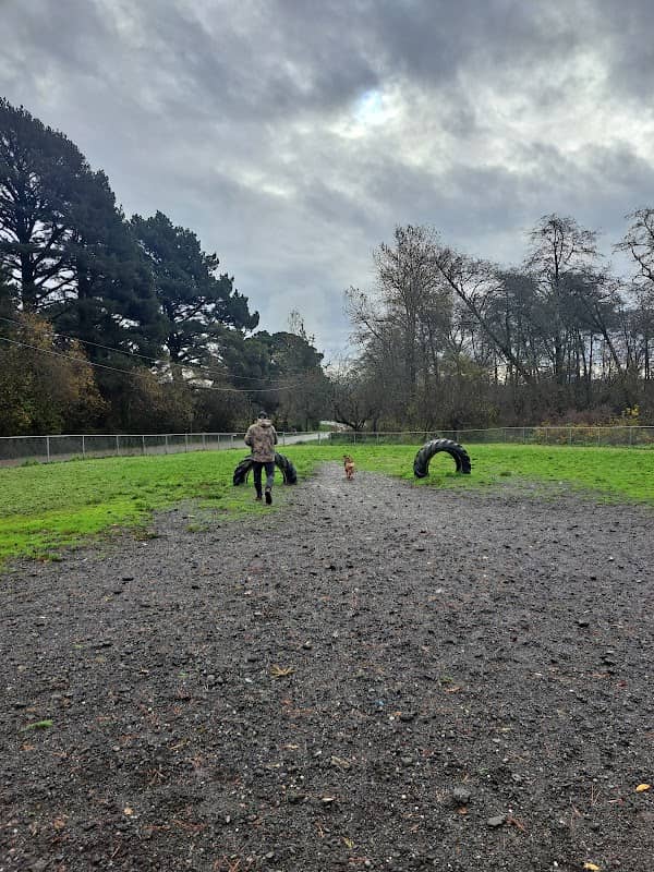 Fortuna Dog Park - Image 1
