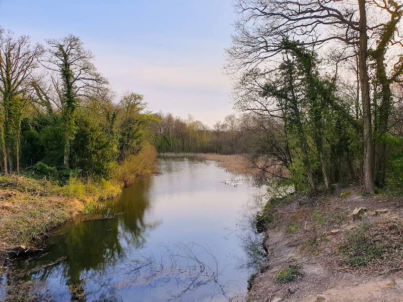 Nutbrook Pond - Image 2