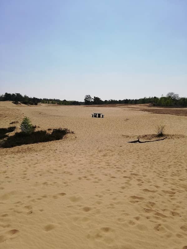 Bergse Heide - Image 1