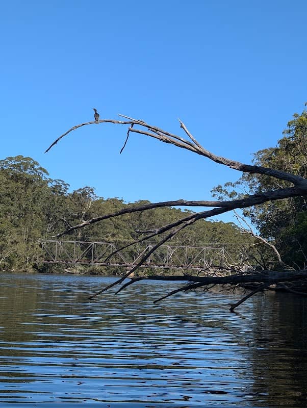 Bonville Creek - Image 1