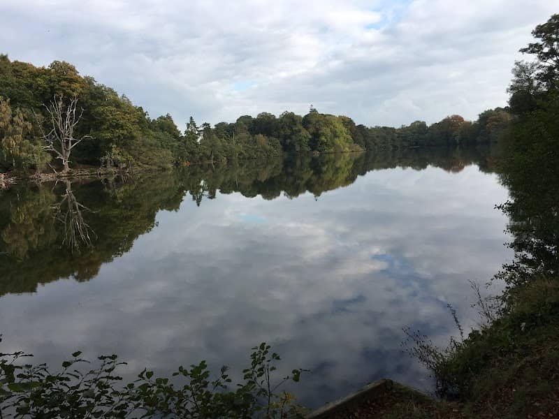 Ellesmere - Image 1