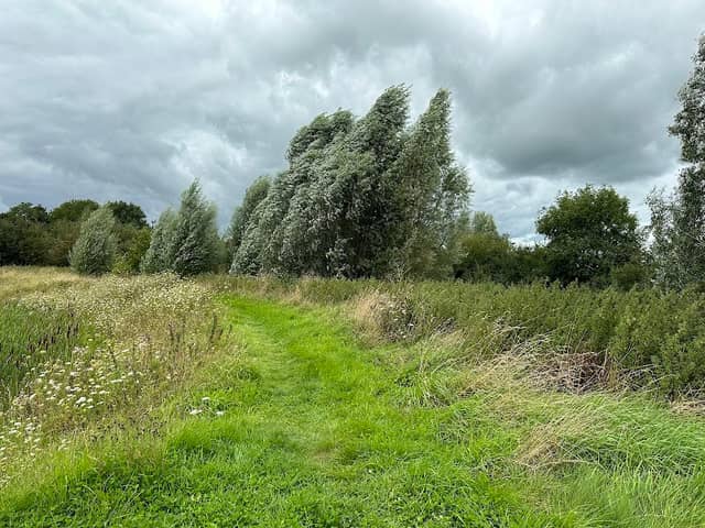 Haddon Wood - Image 2