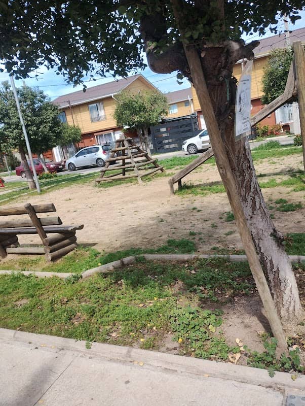 Plaza El Olivo - Image 2