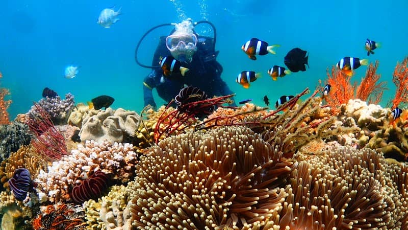 Point Nemo - Image 1