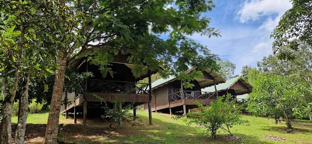 Proboscis Lodge Bukit Melapi - Image 1