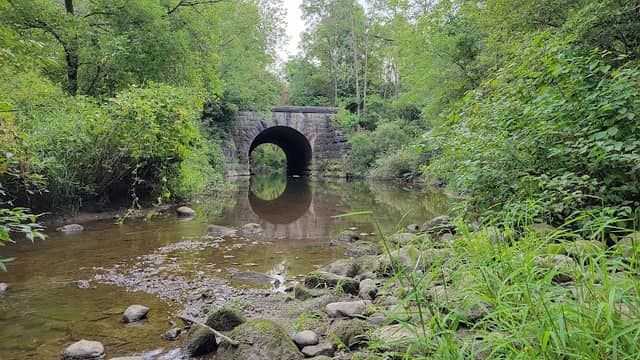The Arch Bridges - Image 2