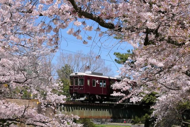 Shukugawa Park - Image 3