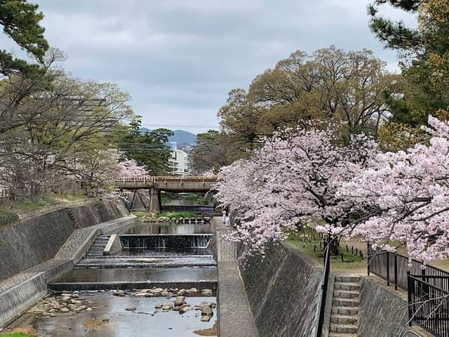 Shukugawa Park - Image 2