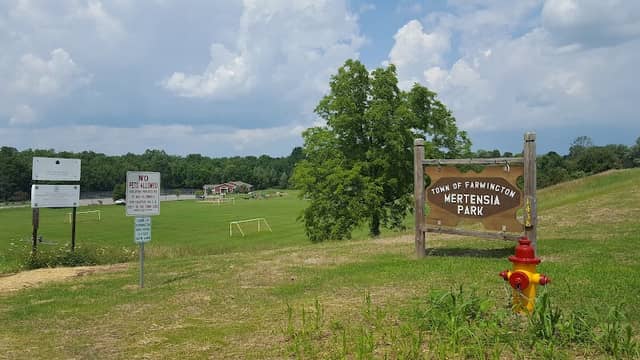 Mertensia Park - Image 1