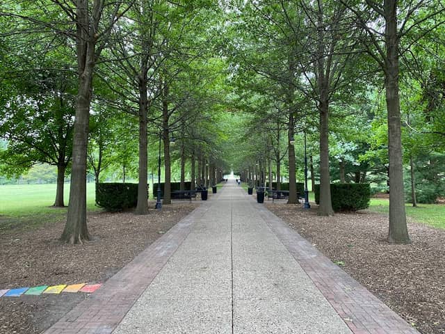 The Grand Allée - Image 1