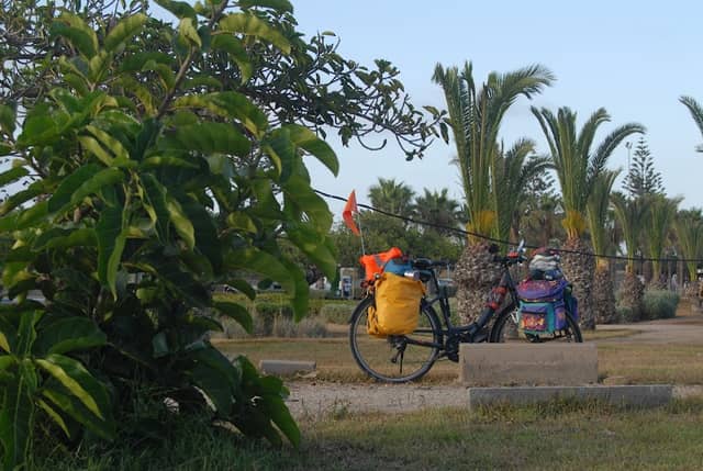 Sud beach garden - Image 1