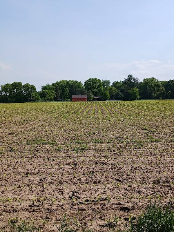 Heritage Park - Image 1