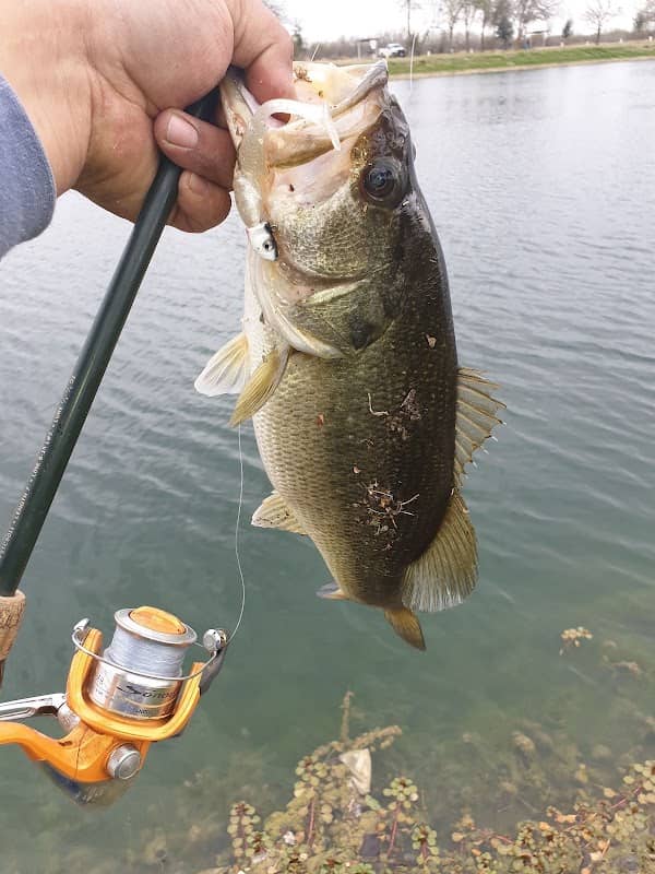 Frio County Community Fishing Pond - Image 2