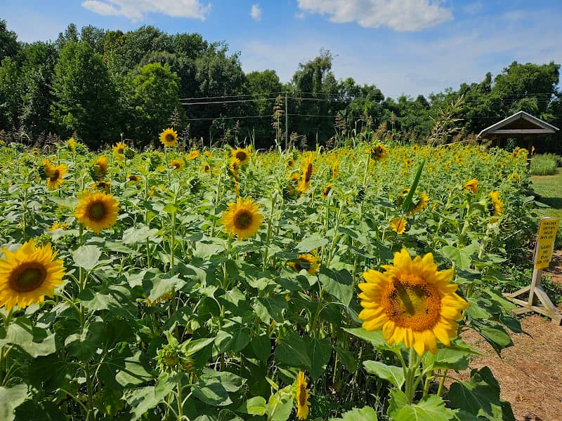Huckleberry Trail Farm - Image 1