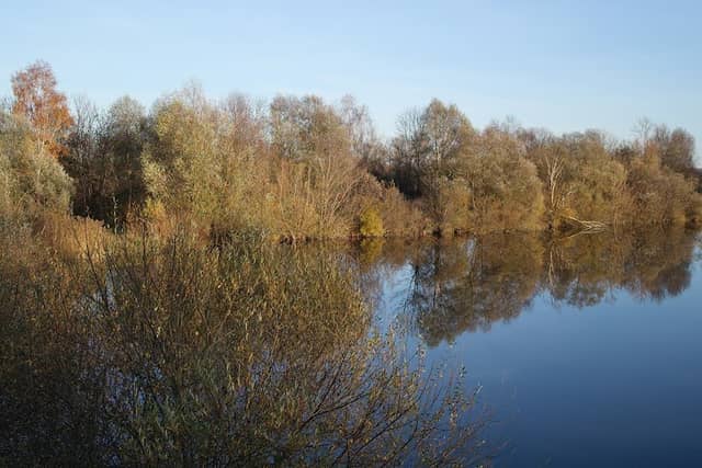 Vogelbeobachtungsturm im Gundelfinger Moos - Image 1