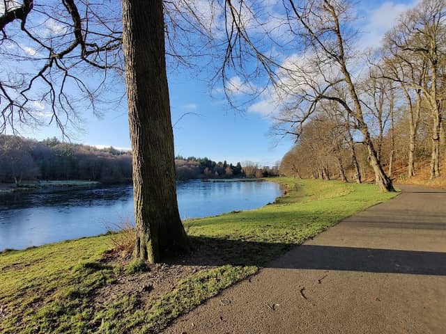 Callendar Park - Image 2