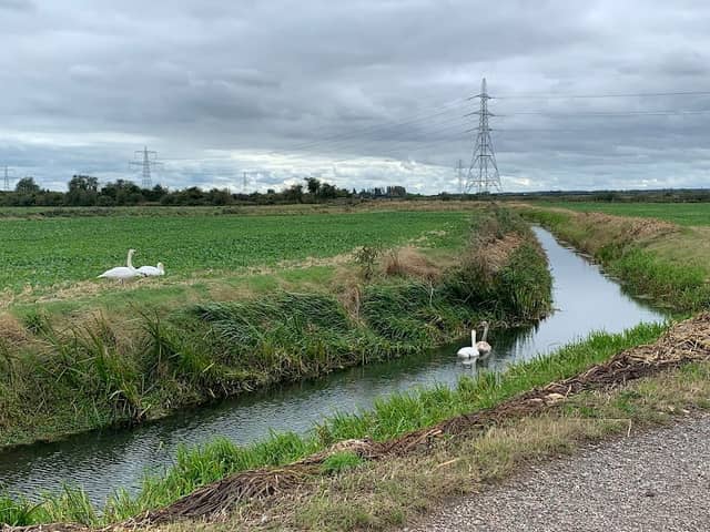 Minster Marshes - Image 2