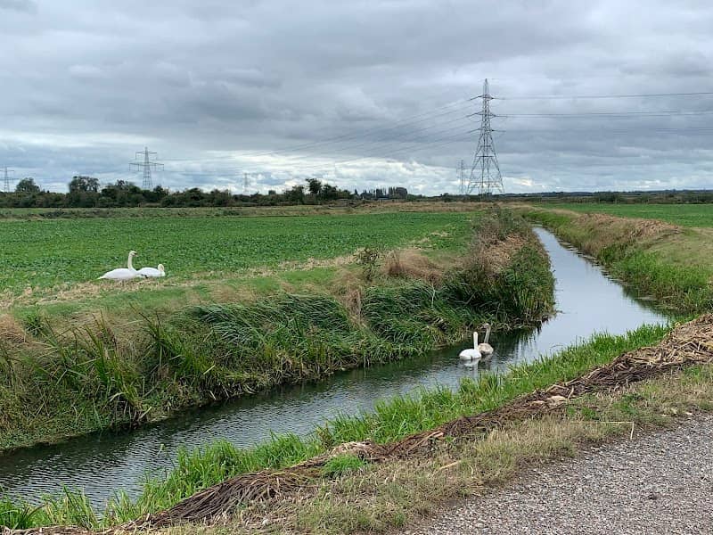 Minster Marshes - Image 2