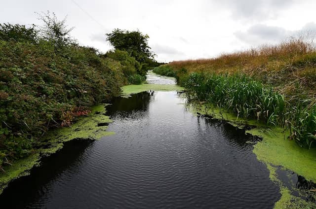 Minster Marshes - Image 1