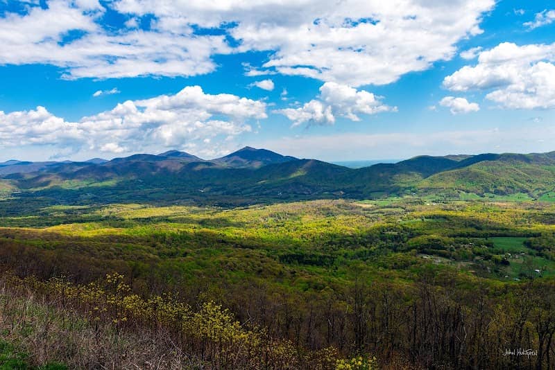 Pine Tree Overlook - Image 2