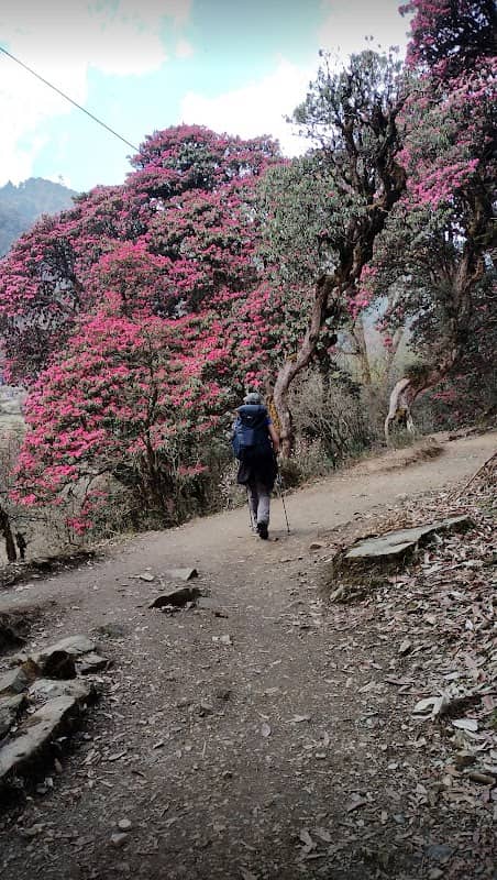 Ghorepani Welcome Gate - Image 2