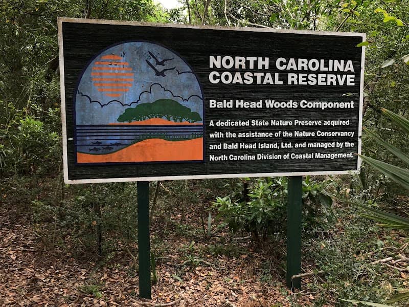 Bald Head Woods Maritime Forest Preserve - Image 1