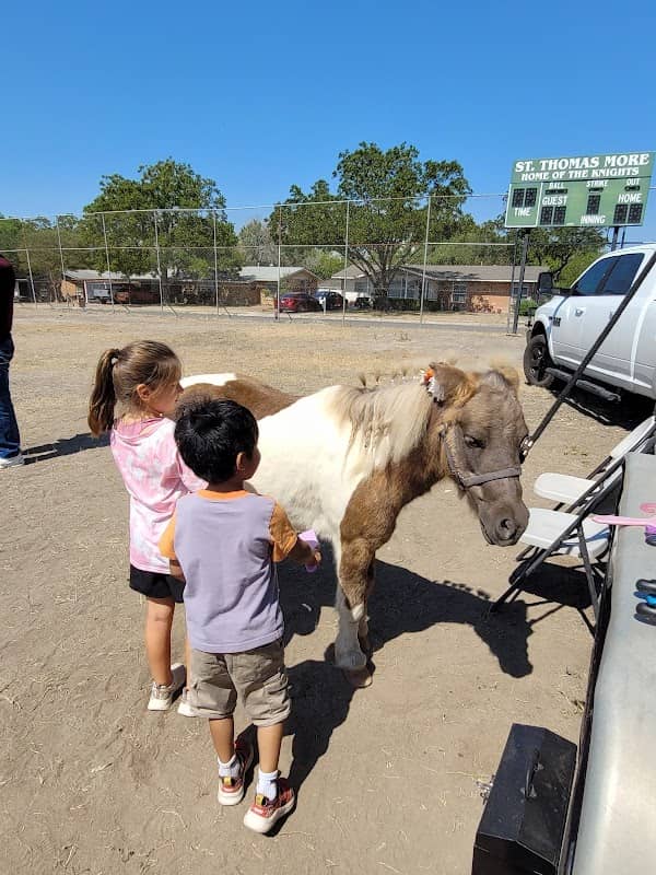 Pony Rides - San Antonio - Image 1