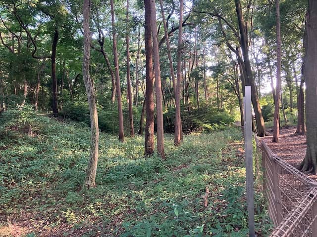 Site of Shakujii Castle - Image 2