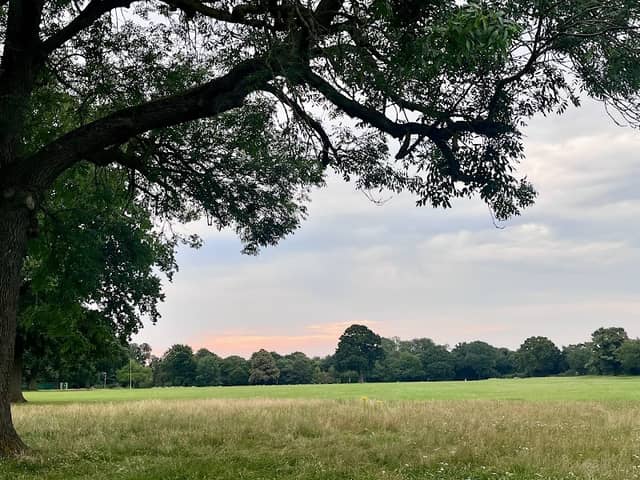 Shephalbury Park - Image 1