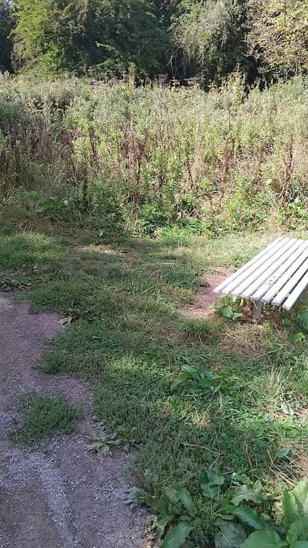 Merlin Way Trail - Image 2