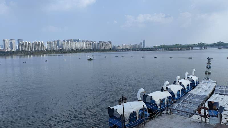 Han River Paradise - Image 2
