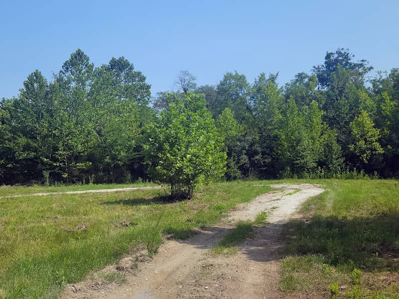 P.J. Peine Park - Image 2