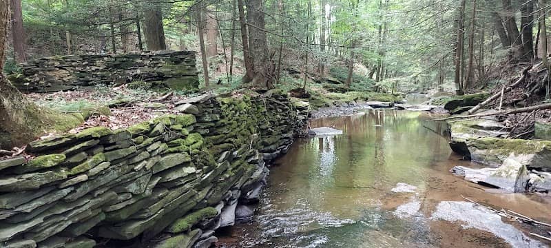 Lithia Spring - Image 3
