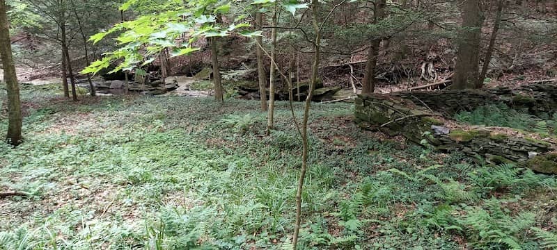 Lithia Spring - Image 1