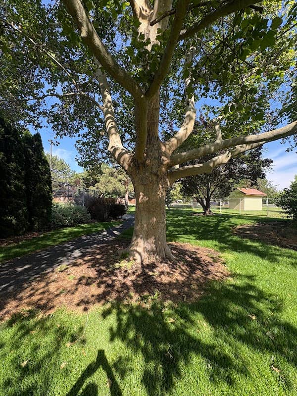Friendship Park - Image 2