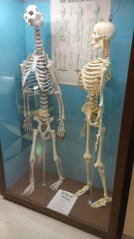 Hands-On Science Center (HOSC) - Image 1