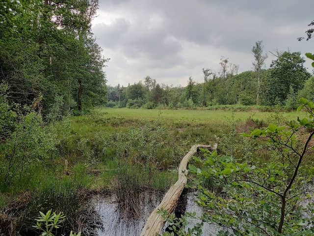 Vijverhof - Image 1
