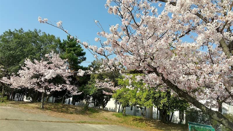 Kamo Park - Image 1