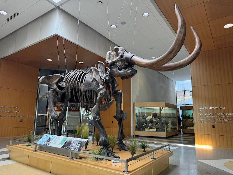 North Dakota Heritage Center & State Museum - Image 1