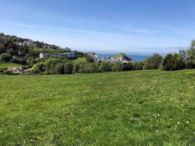 Hillsborough, Devon - Image 2