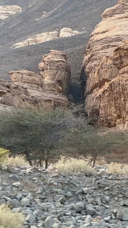 Kock Rock - Image 1