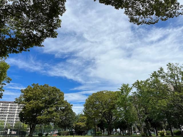 Hokima Park - Image 2