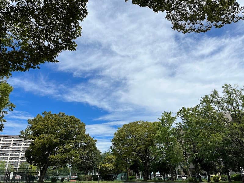 Hokima Park - Image 2