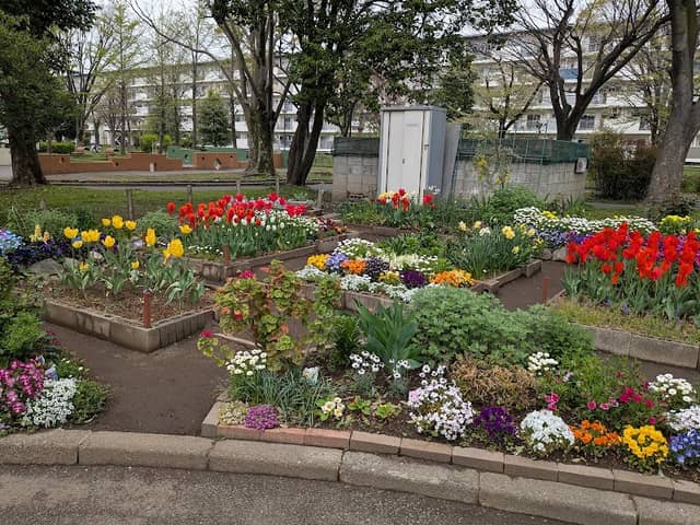 Hokima Park - Image 1