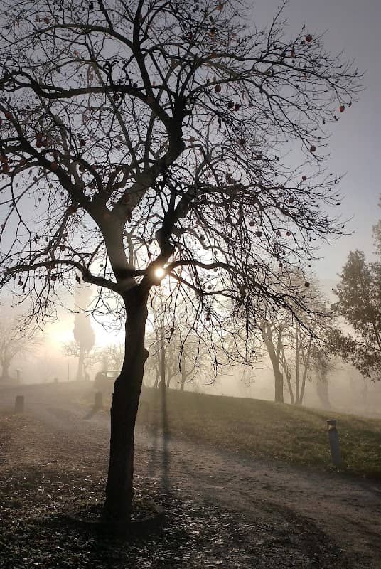 Parco delle Colline Villa Zanardelli - Image 1