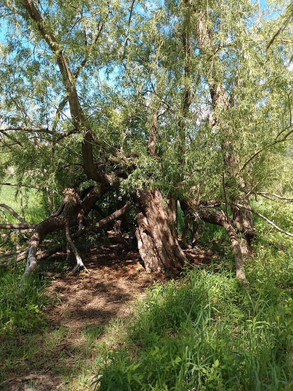 Boulder Creek - Image 2